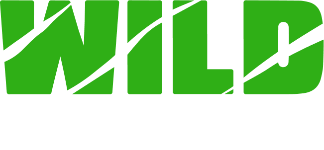 Logo Wild casino